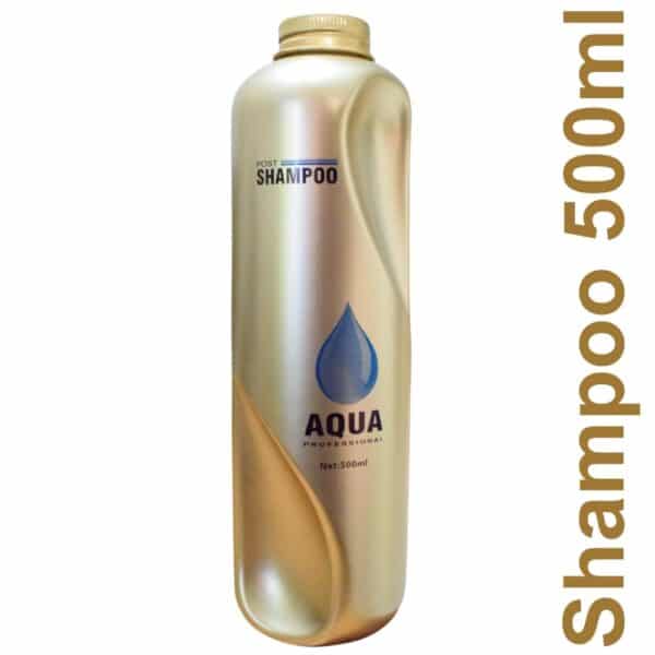 Aqua Professional Gold Home Hair Care Shampoo 500ml and Conditioner 300ml Combo 2